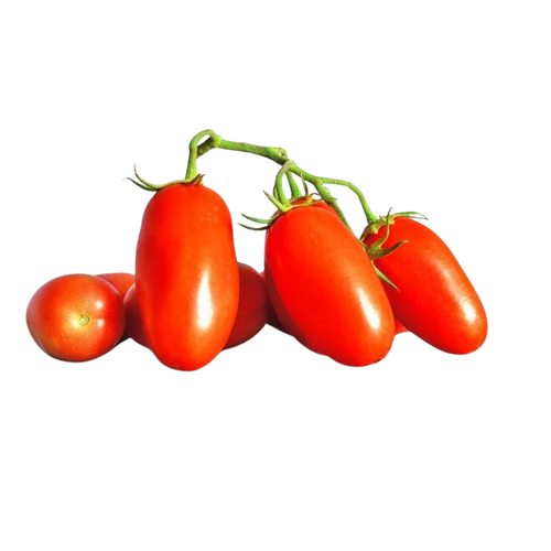 Pomidorki koktajlowe Marzanino opakowanie (250g) - BIO (I)