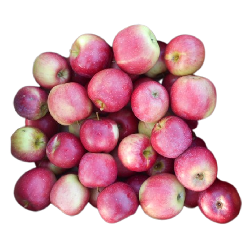 Jabłka ekologiczne na sok (1kg ) - BIO (PL)