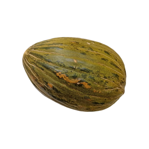 Melon MIODOWY ekologiczny (sztuka ok.1,5 kg) - BIO (I)