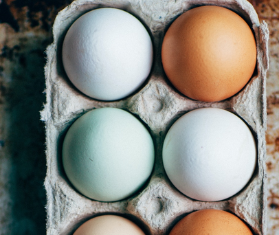 Wszystko o jajkach czy warto wybrać jajka z chowu ekologicznego?